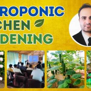 Hydroponics Kitchen Gardening